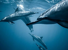 九游APP下载-徐彬2022后稳步成长 中超+U23亚洲杯表现亮眼敲定留洋